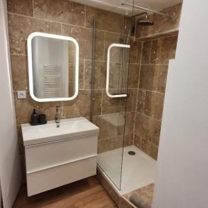里耶Duplex sous les toits的浴室配有盥洗盆和带镜子的淋浴