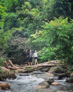 Ban Pha KhapIkigawa Home的两个人站在河里的原木上