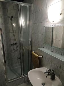 凯斯特海伊慢歇旅馆的带淋浴、盥洗盆和淋浴的浴室