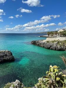 莱切省卡斯特罗RESIDENCE IL GIARDINO DI DONNA LEDA的一片海水,一片海滩,一片棕榈树
