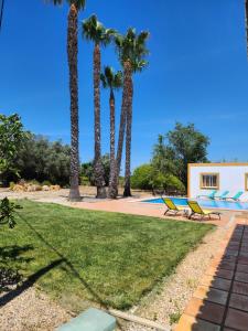 卡武埃鲁Quinta Das Amendoas的棕榈树和游泳池度假村