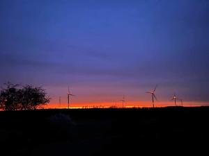 西内Autant pour toi的一群在日落时分在田野里的风车