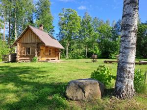 NedsajaNedsaja metsamaja ja saun的田野上的小木屋,有树和岩石