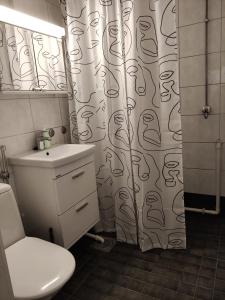 波里Yyterin portti的一间带卫生间和淋浴帘的浴室