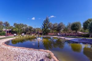 阿尔曼萨Villa - Algarve, Portugal, 4 Bed ensuite, private pool, lake and beautiful gardens的阳光明媚的日子,公园里的池塘