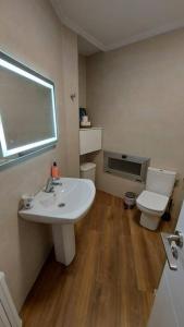 布埃乌Apartamento Centroplaya的一间带水槽和卫生间的浴室