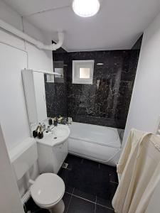 札勒乌Apartament 2 camere的浴室配有盥洗盆、卫生间和浴缸。