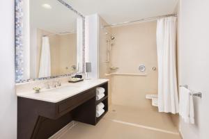 坦帕坦帕西海岸翠贡精选酒店的一间带水槽和淋浴的浴室