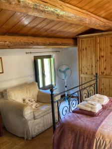 AmandolaIl Nascondiglio - The Hideaway的一间卧室配有一张床、一张沙发和一个窗口