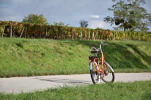 ChangeLes Cabottes的停放在田野旁的一条小路上的橘子自行车