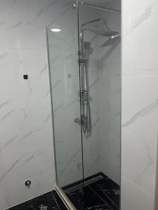 布德瓦Seaview Apartment Jana的浴室里设有玻璃门淋浴