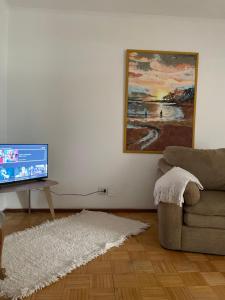 布宜诺斯艾利斯El 10 de Telmo的带沙发和平面电视的客厅