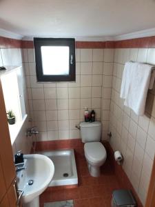 萨莫色雷斯Vaikouzis Houses的一间带卫生间、水槽和窗户的浴室