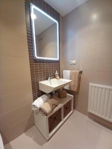 比利亚维西奥萨Apartamento Aurora的一间带水槽和镜子的浴室