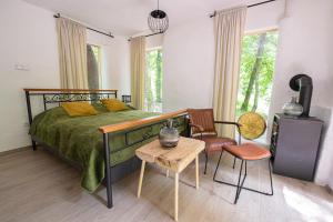 摩拉瓦托普利采Living Forest Resort的一间卧室配有一张床、一把椅子和一张桌子