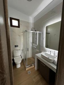 LadharióNaiades Villas Aigli的带淋浴、卫生间和盥洗盆的浴室
