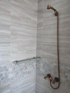 穆里吉奥尔Casa Traditionala Clisciova的浴室铺有蓝色和白色瓷砖,设有淋浴。