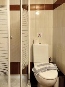 普拉基亚斯弗特玛公寓的一间带卫生间和玻璃淋浴间的浴室