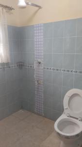 GituraEQUINE RESORT的浴室配有淋浴和卫生间。