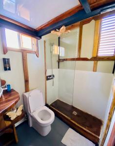 蓬塔露奇亚Baby Rustic的一间带卫生间和玻璃淋浴间的浴室