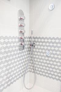 蓬扎Relais Solis的浴室内配有淋浴和头顶淋浴