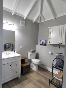 皮克图Olde Foundry Apt的白色的浴室设有卫生间和水槽。