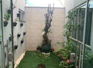 锡诺普Casa aconchegante的一座花园,在一座建筑的一侧种植了盆栽植物