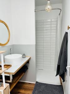 拉卡诺Le p'tit canaulais - Logement entier - rez de jardin - paisible的一间带水槽和淋浴的浴室