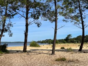 拉卡诺Le p'tit canaulais - Logement entier - rez de jardin - paisible的海滩上的一群松树