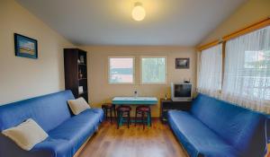 姆拉哥沃Domek na Mazurach的客厅配有蓝色的沙发和桌子