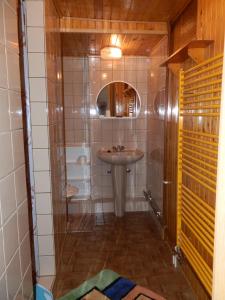 坦瓦尔德Ubytování Na Výsluní Tanvald的一间带水槽和镜子的浴室