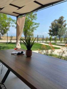 Ladharió•Naiades Villas• Castalia•的木桌,配上一杯葡萄酒和植物