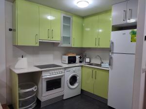 特鲁埃尔Apartamento Estrella de Teruel的厨房配有绿色橱柜和洗衣机。