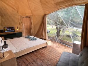 沃尼扎Manna Gea Glamping Domes的帐篷内一间卧室,配有一张床