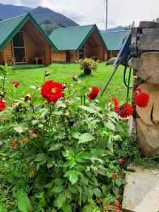 莫伊科瓦茨Konaci Očeva Zemlja的一座花园,在房子前种有红色花卉