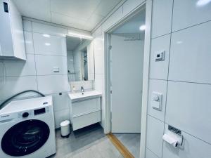 斯沃尔韦尔Lofoten Studio Penthouse的白色的浴室设有洗衣机和水槽。