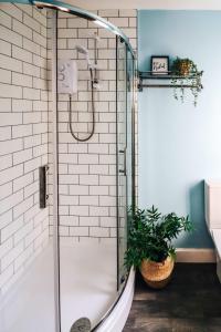 卡迪夫Principality View Apartment Two, by Solace Stays的带淋浴的浴室,带有盆栽植物