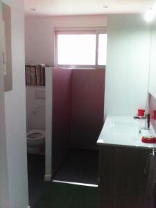 努美阿Alain的一间带水槽和卫生间的小浴室