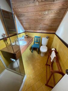 亚林加普Sienna Lodge的一间带卫生间和水槽的浴室
