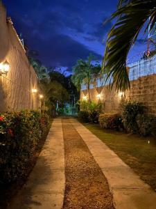 阿瓜奇卡Cabaña Villa Mary-Aguachica的棕榈树的走道和夜间的建筑