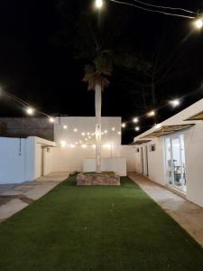瓜伊马斯San Marcos Hotel Guaymas的一座灯火通明的建筑中间的棕榈树