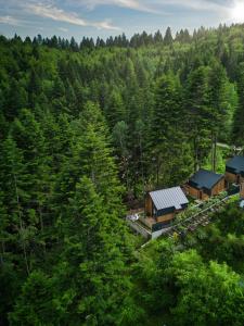 锡纳亚Norway Cabins的森林中小屋的空中景观