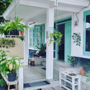 日惹加瑟尔民宿的盆栽植物的房屋门廊