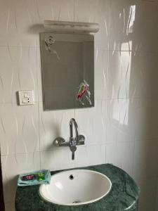索拉哈Sauraha Guest House的一间带水槽和镜子的浴室