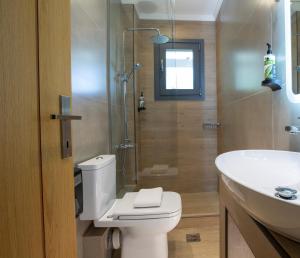 奈德里Zisis Suites的浴室配有卫生间、盥洗盆和淋浴。