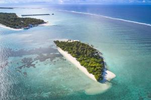 马米基里Villa Park Sun Island Resort的海洋中的一个岛屿,在水中种有树木