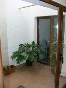 罗德里戈城Loft en planta baja en Ciudad Rodrigo的一间种植了盆栽植物的房间和滑动玻璃门