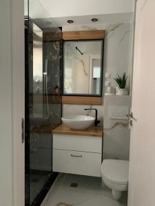 阿尔巴尤利亚ULO Residence的一间带水槽、卫生间和镜子的浴室