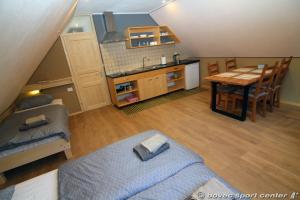 博维茨Base camp - Apartments & Rooms的客房设有厨房、桌子和水槽