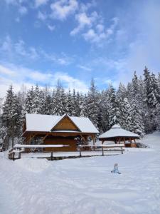 MizernaBodziuchówka的雪地里的小木屋,有雪覆盖的树木